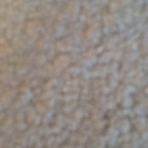 Meet your Posher, Rose